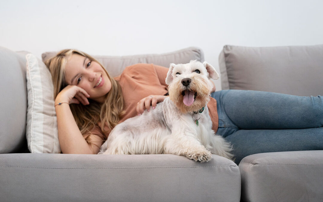 Crea un espacio acogedor en el sofá para tu mascota